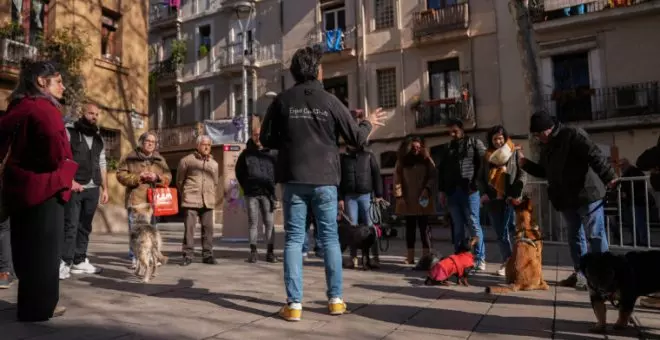 Barcelona organiza diversos talleres de educación canina gratuitos