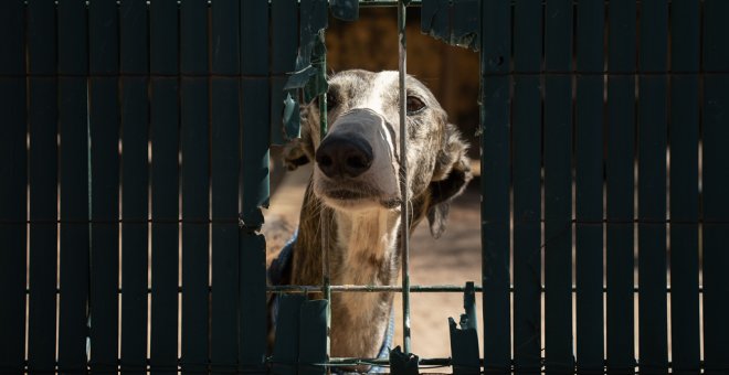 El PP deroga con el apoyo de Vox la ley de protección animal de La Rioja