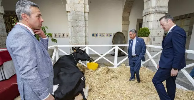 La granja SAT Ceceño recibe la Medalla de Plata de Cantabria con la vaca Ariel como protagonista