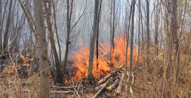 Els incendis forestals del 2023 cremen 1.521 hectàrees, la majoria fora de l'estiu