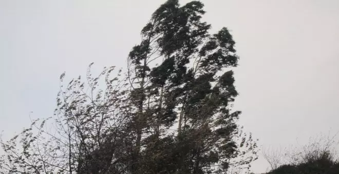 El viento provoca más de un centenar de incidencias este domingo en Cantabria