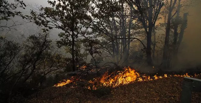 17 incendios forestales en 11 concejos asturianos, y una carta del ecologismo asturiano pidiendo la dimisión del consejero