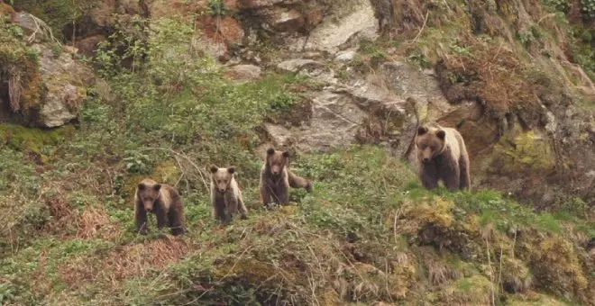 Aire Libre Primavera: osos pardos, cien nidos de cigüeña y una momia