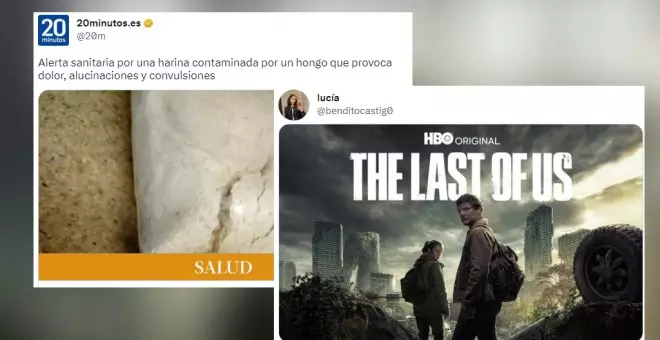 Retiran una harina contaminada por un hongo y todo el mundo piensa en la serie de moda: "Así empezó 'The Last of Us'"