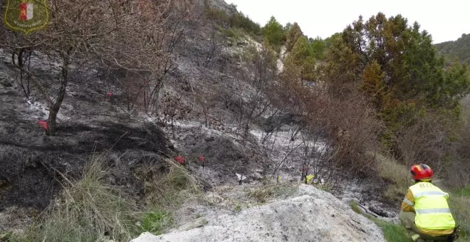 Extinguido el incendio declarado el martes en Ocentejo que ha afectado a una zona de alto valor ecológico del Alto Tajo