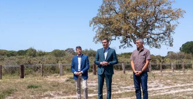 El Gobierno anuncia que cerrará todos los pozos ilegales en Doñana mientras Moreno Bonilla insiste en ampliar el regadío