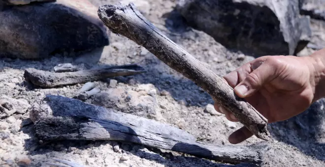 L'incendi de Corbera d'Ebre segueix deixant al descobert restes de soldats de la Guerra Civil