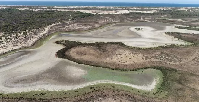 Otras miradas - Doñana merece un 155