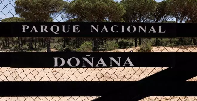 Unidas Podemos propone que Doñana tenga personalidad jurídica propia para elevar su protección