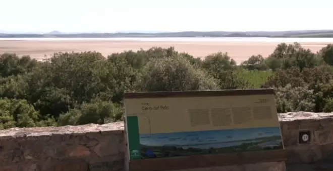 La Laguna de Fuente de Piedra, en Málaga, está seca