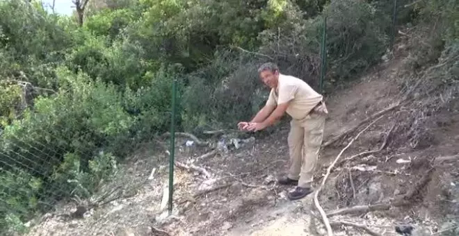 Encuentran más huesos de mujer en la finca en la que se encontró la calavera y una maleta