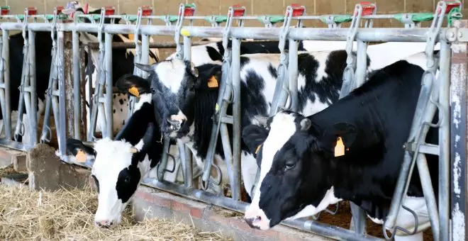 Unió de Pagesos denuncia Mercadona, Bonpreu i Lidl per fixar els preus de la llet de marca blanca