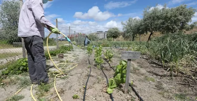 El dueño de un huerto en Huelva, condenado a 15 años de cárcel por matar de un disparo a un ladrón de hortalizas