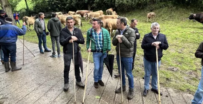 Lamasón celebra su tradicional feria de ganado