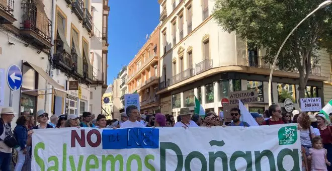Una multitudinaria marcha presiona a Moreno Bonilla para que rectifique la ley que amplía regadíos en Doñana