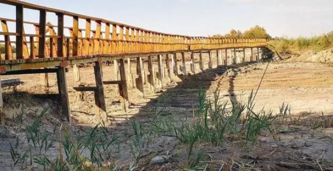 Lo que ocurre en Doñana se queda muy corto si se mira a la Mancha Occidental