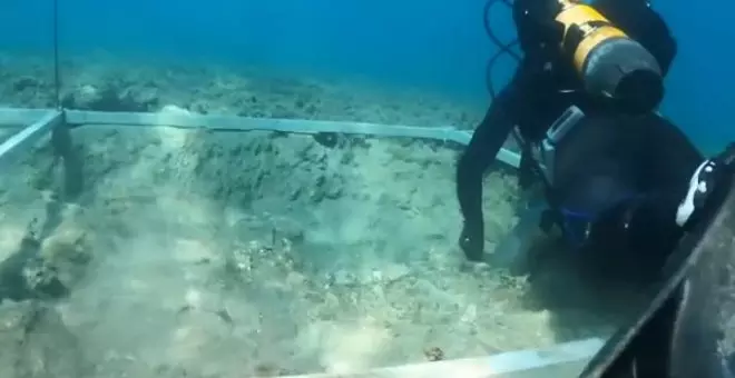 Se descubren restos de una carretera bajo el mar Adriático