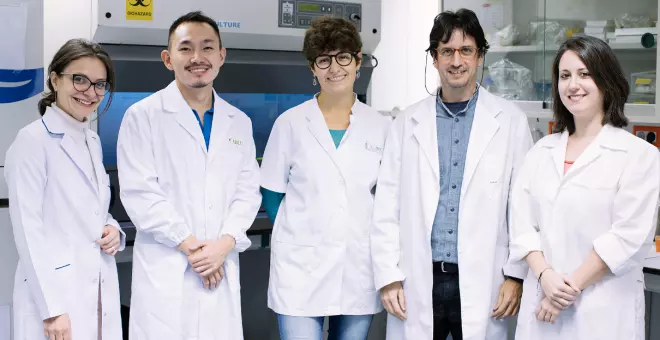 Investigadors catalans identifiquen nous biomarcadors per diagnosticar el càncer de pulmó més freqüent