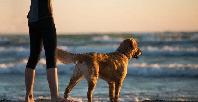 Platges de Catalunya per anar amb la teva mascota