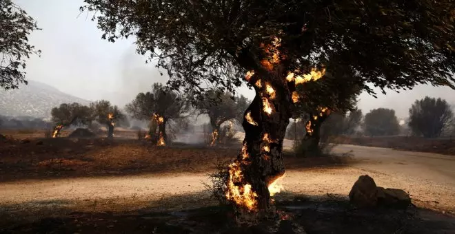 Un incendio fuera de control a las afueras de Atenas quema las primeras casas