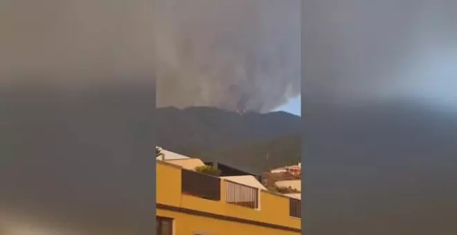 Las llamas en Tenerife arrasan las cumbres de Candelaria y Arafo