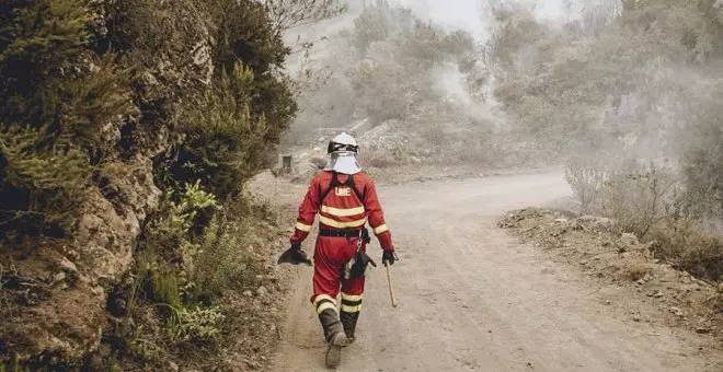 El incendio de Tenerife ha calcinado 10.000 hectáreas y deja 12.279 evacuados