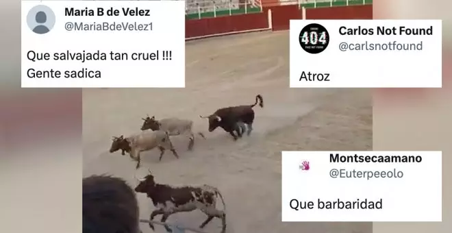 Repulsa ante la salvajada en la plaza de toros de Barbastro: "No es cultura, es crueldad sanguinaria"