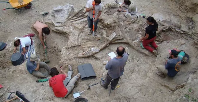 Descubren uno de los dinosaurios más grandes de Europa en un municipio de Castelló