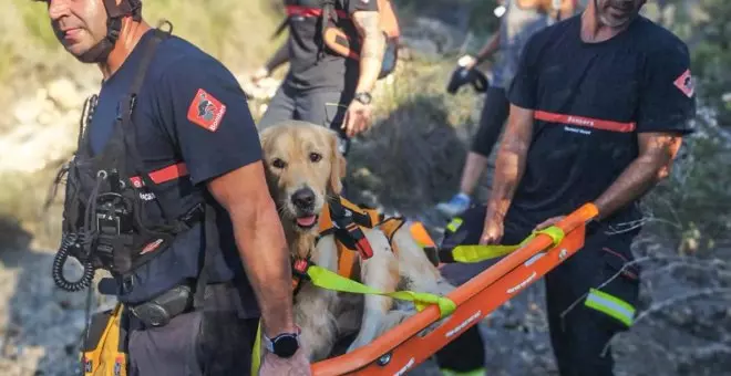 Los bomberos rescatan en Sierra Gelada a un perro que no podía mover sus patas traseras