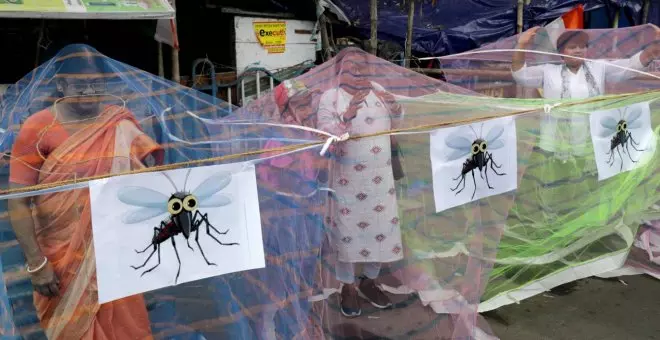 Dengue y factores socioculturales: los claroscuros para conseguir vacunas ante una amenaza mundial