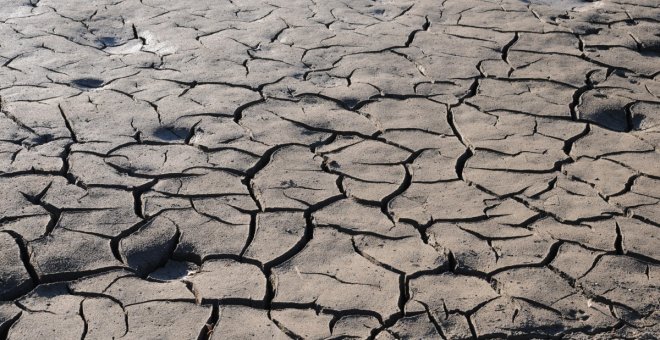 La crisis climática se lleva por delante la mitad de la cosecha de cereal de España