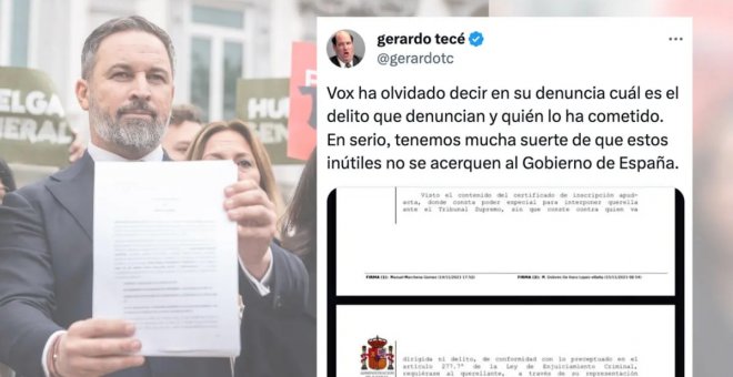 Vox olvida decir en su querella cuál es el delito que denuncian y quién lo ha cometido: "Son un meme andante"