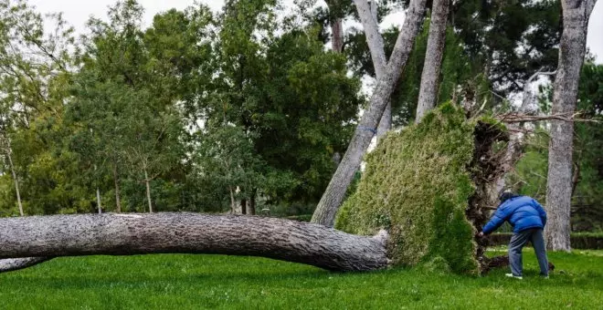 Las consecuencias del ciclón Ciarán en Europa: 12 muertes y graves daños