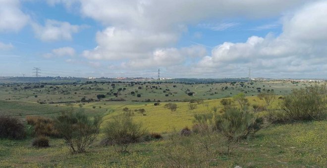 Los vecinos de Alcobendas (Madrid) denuncian un plan urbanístico que acabaría con su último espacio natural