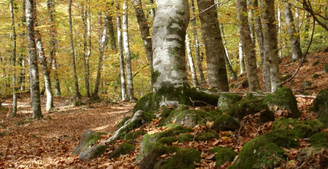 Set joies naturals de Catalunya que mereixen una excursió