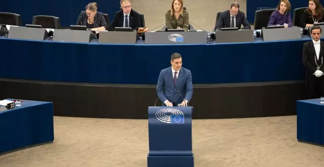 El ladrido de un perro se cuela en el Parlamento Europeo