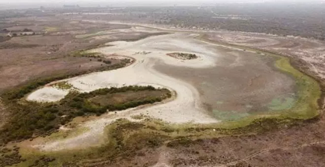 El Gobierno constata el mal estado del acuífero de Doñana y quiere tolerancia cero con el riego ilegal