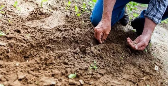 La mano de obra migrante: fundamental para el sustento de la agricultura europea