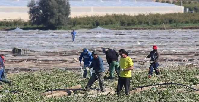 La 'uberización' de la huerta de Almería, un jardín artificial en la zona más árida de Europa que agrava los problemas de agua