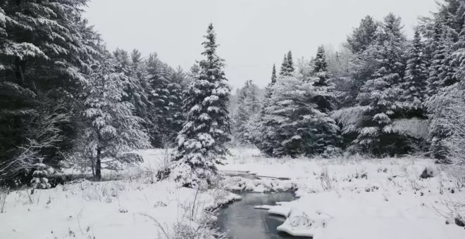 Winter: 5 años de grabación para obtener el time lapse del año