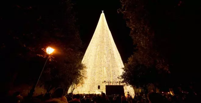 Más de 115.000 personas han visitado el árbol de Navidad de Cartes