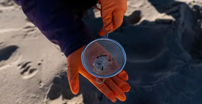 Cronología de una parálisis: un mes de la inacción de la Xunta con el vertido de pellets en Galicia