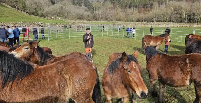 Cantabria convocará esta semana la Mesa Agraria para abordar los problemas del sector