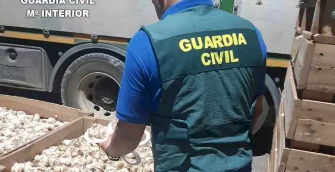 La Guardia Civil investiga a una familia en Las Pedroñeras por apropiarse de 2.500 kilos de ajo morado