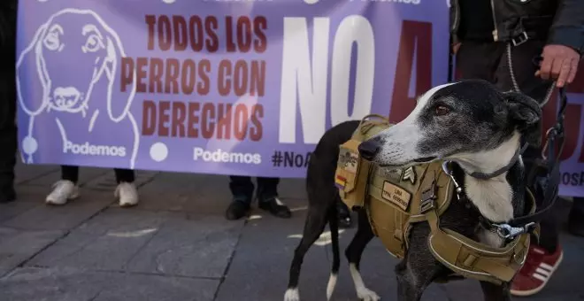Miles de personas se manifiestan en España para pedir el fin de la caza con perros