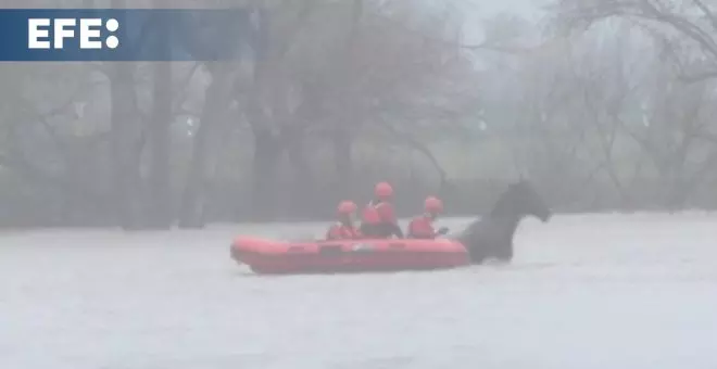 Rescatan a un caballo atrapado en terrenos inundados en Jundiz (Vitoria)