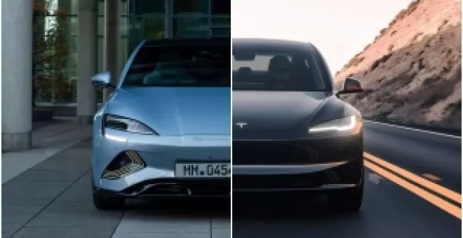 BYD no quiere oír hablar de comparaciones con Tesla: "somos dos animales muy diferentes"