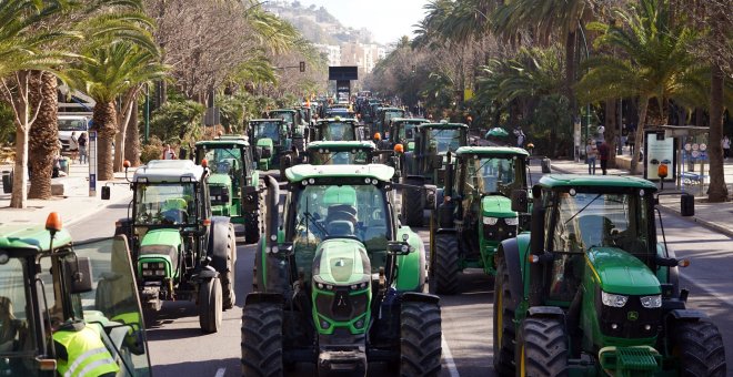 Las ayudas europeas al campo perpetúan la desigualdad en Andalucía: el 20% más rico se lleva el 80% de los fondos