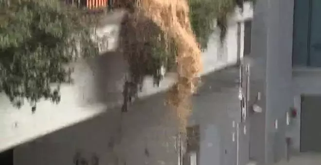 Protestas en Bruselas durante la reunión del Consejo de Ministros de Agricultura