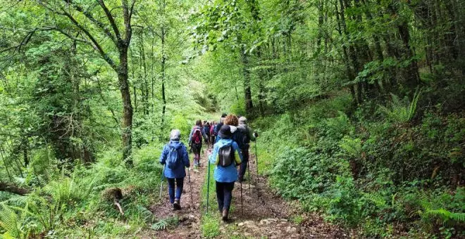 Descubre los secretos de los bosques de Cantabria con estos tres itinerarios interpretativos